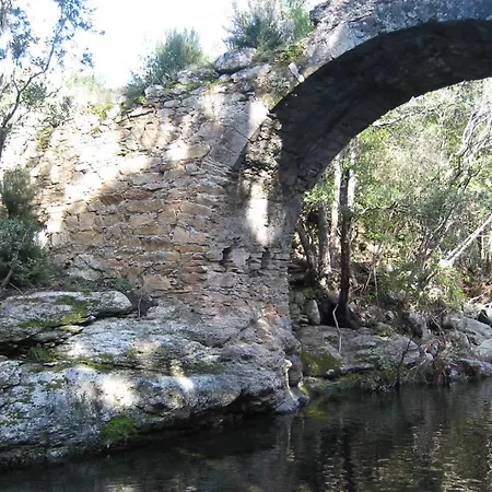 Les De Colema 2* Pino