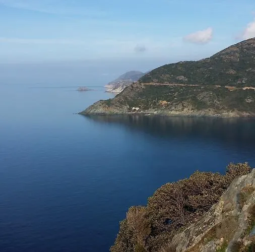 Les De Colema 2* Pino